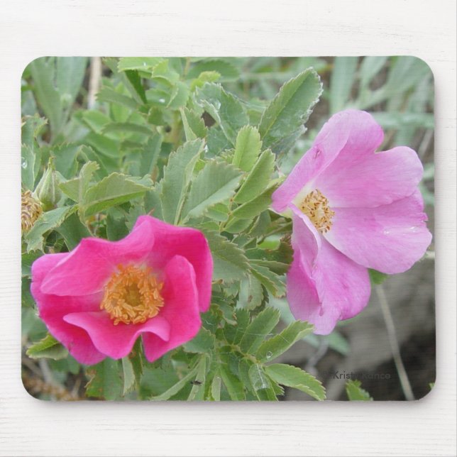 Alfombrilla De Ratón Rosas silvestres F4 (Frente)