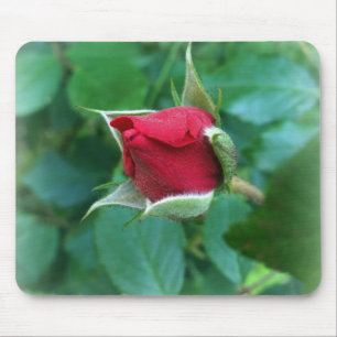 Alfombrilla De Ratón rosebudo rojo