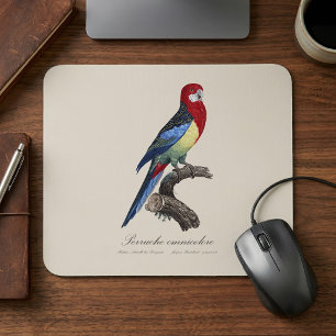 Alfombrilla De Ratón Rosella oriental o perico Platycercus eximius