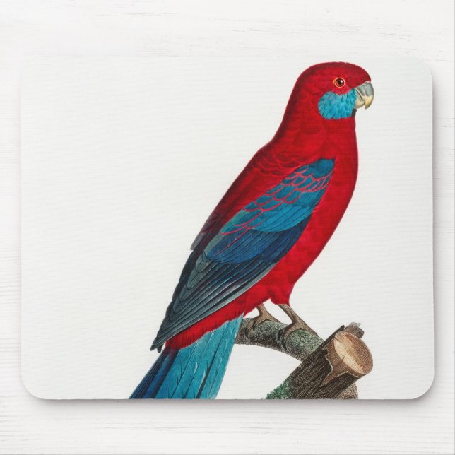 Alfombrilla De Ratón Rosella Parrots de Crímson Azul Rojo (Frente)