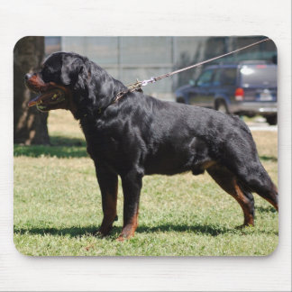 Alfombrilla De Ratón Rottie grande