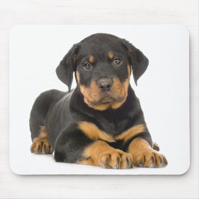Alfombrilla De Ratón Rottie Puppy Dog Gift Rottweiler (Frente)