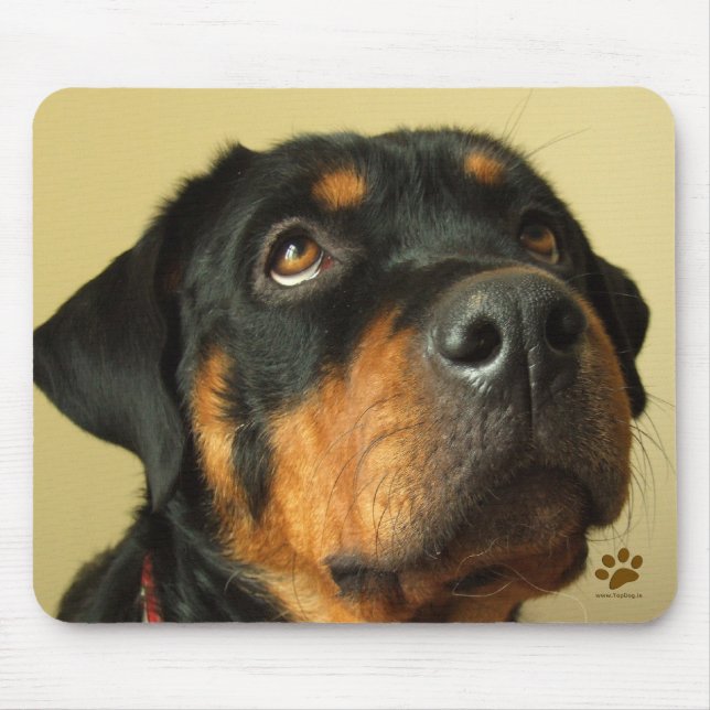 Alfombrilla De Ratón Rottweiler (Frente)