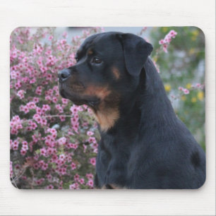 Alfombrilla De Ratón Rottweiler
