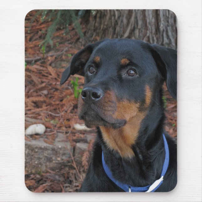 Alfombrilla De Ratón Rottweiler de Redwood Tree Mouse Pad (Frente)