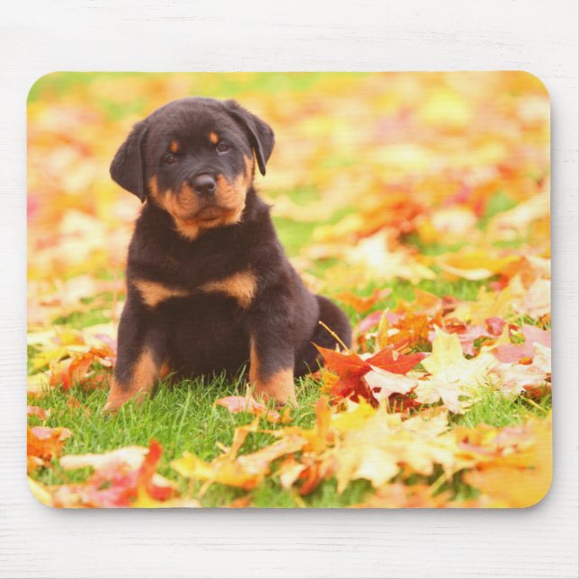 Alfombrilla De Ratón Rottweiler Puppy Sentado En Hojas De Otoño (Frente)