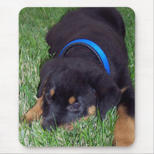 Alfombrilla De Ratón rottweiler pus.