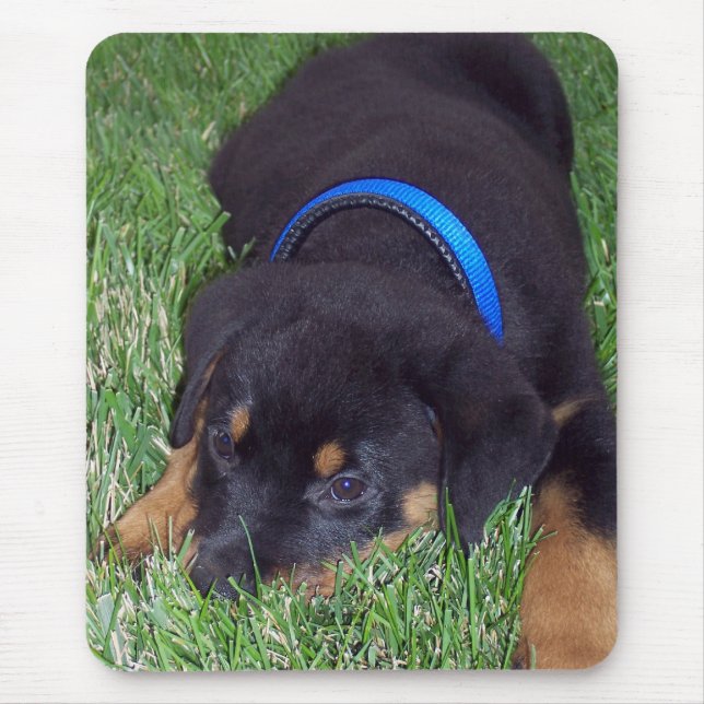 Alfombrilla De Ratón rottweiler pus. (Frente)
