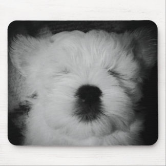 Alfombrilla De Ratón Rowdy el cachorro de Maltipoo