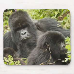 Alfombrilla De Ratón Ruanda, Parque Nacional de los Volcanes