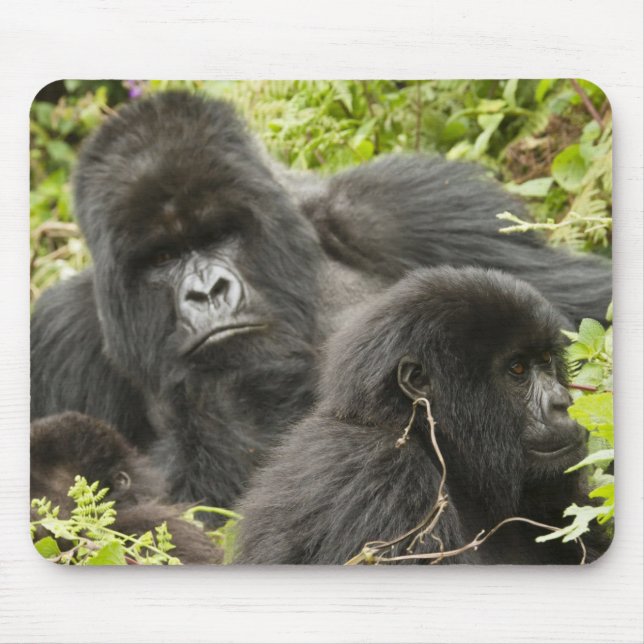 Alfombrilla De Ratón Ruanda, Parque Nacional de los Volcanes (Frente)
