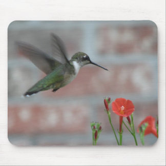 Alfombrilla De Ratón Rubí-garganta y correhuela Mousepad
