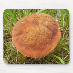 Alfombrilla De Ratón Ruby Bolete Mushroom Mouse Mat