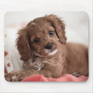 Alfombrilla De Ratón Ruby Cavapoo Cuppy Dog