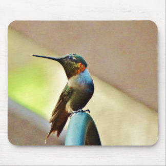 Alfombrilla De Ratón Ruby encaramado y colibrí verde