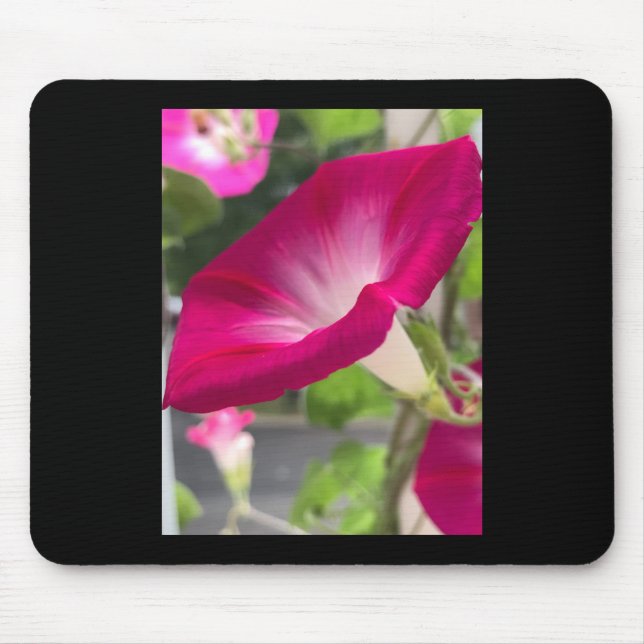 Alfombrilla De Ratón Ruby Red Morning Glory Mousepad (Frente)