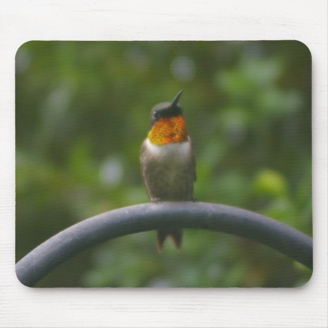 Alfombrilla De Ratón Ruby Throat Hummingbird (Frente)