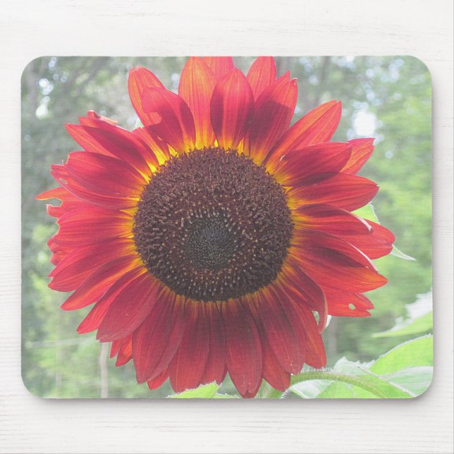Alfombrilla De Ratón Rusty Red Sunflower (Frente)