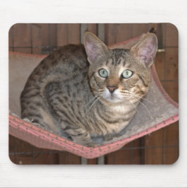 Alfombrilla De Ratón Sabannah Cat Mousepad