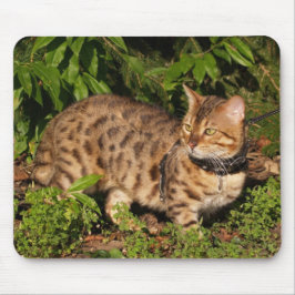 Alfombrilla De Ratón Sabannah Cat Mousepad
