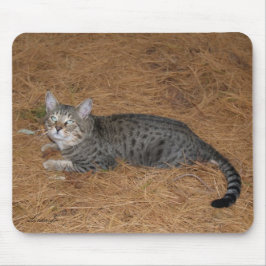 Alfombrilla De Ratón Sabannah Cat Mousepad