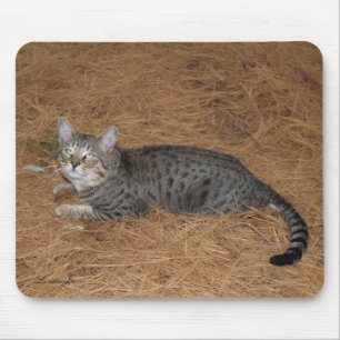 Alfombrilla De Ratón Sabannah Cat Mousepad