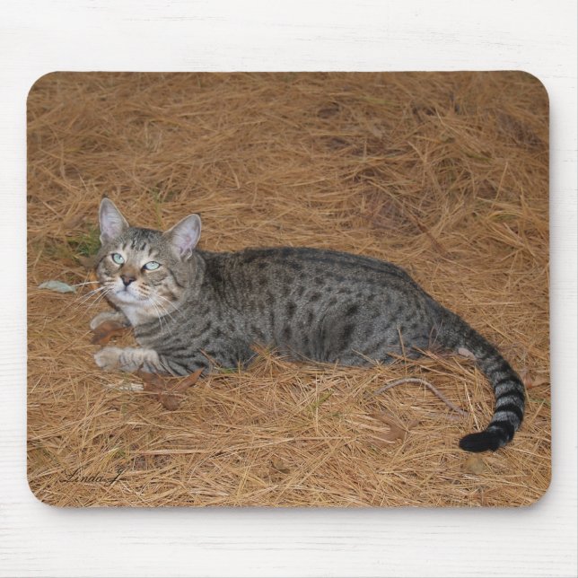 Alfombrilla De Ratón Sabannah Cat Mousepad (Frente)