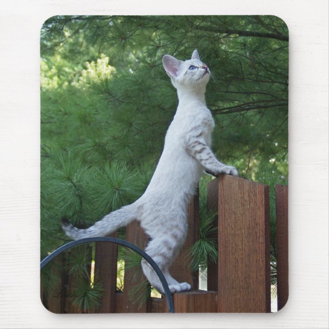 Alfombrilla De Ratón Sabannah Cat Mousepad (Frente)