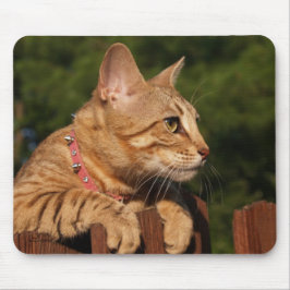 Alfombrilla De Ratón Sabannah Cat Mousepad