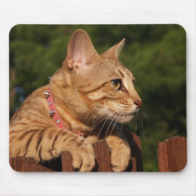 Alfombrilla De Ratón Sabannah Cat Mousepad (Frente)