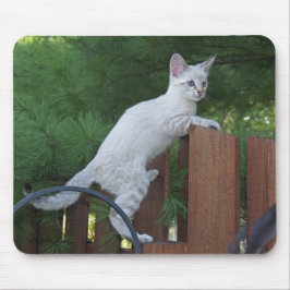 Alfombrilla De Ratón Sabannah Cat Mousepad