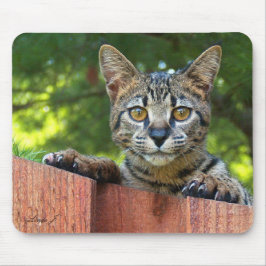 Alfombrilla De Ratón Sabannah Cat Mousepad