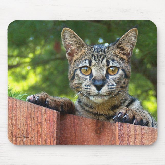 Alfombrilla De Ratón Sabannah Cat Mousepad (Frente)