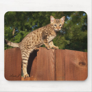 Alfombrilla De Ratón Sabannah Cat Mousepad