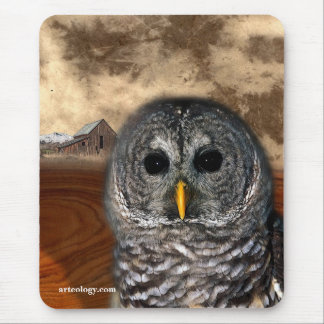 ALFOMBRILLA DE RATÓN SABIO VIEJO