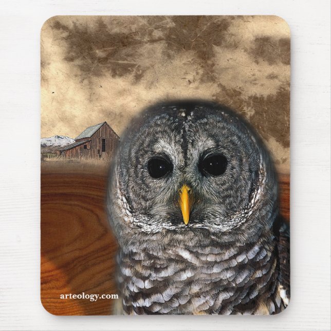 ALFOMBRILLA DE RATÓN SABIO VIEJO (Frente)