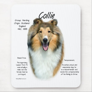 Alfombrilla De Ratón Sable Rough Collie Conoce la raza