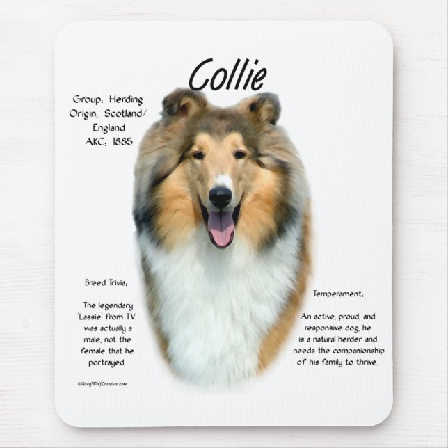 Alfombrilla De Ratón Sable Rough Collie Conoce la raza (Frente)