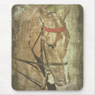 Alfombrilla De Ratón Saddlebred estadounidense