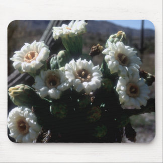 Alfombrilla De Ratón Saguaro Blossoms Mousepad