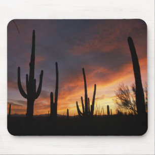Alfombrilla De Ratón saguaro cacti, Carnegiea gigantea, después