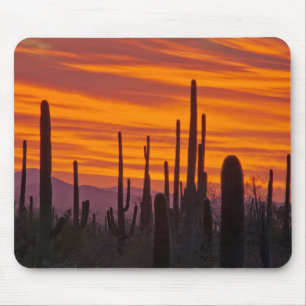 Alfombrilla De Ratón Saguaro, puesta de sol, Parque Nacional Saguaro