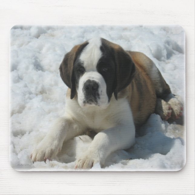 Alfombrilla De Ratón Saint_mousepad (Frente)