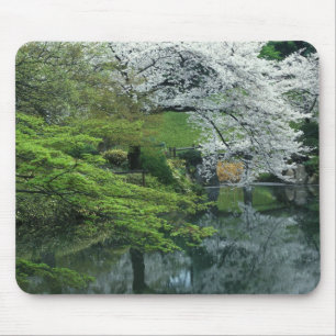 Alfombrilla De Ratón Sakura, Jardín Koishikawa Koraku-en, Tokio,