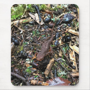 Alfombrilla De Ratón Salamander en el bosque, Washington