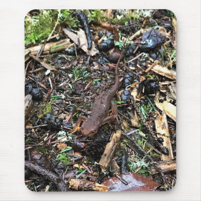Alfombrilla De Ratón Salamander en el bosque, Washington (Frente)