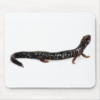 Alfombrilla De Ratón salamander manchado del mousepad de Norteamérica