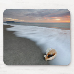 Alfombrilla De Ratón Salida del sol en la playa y Shell