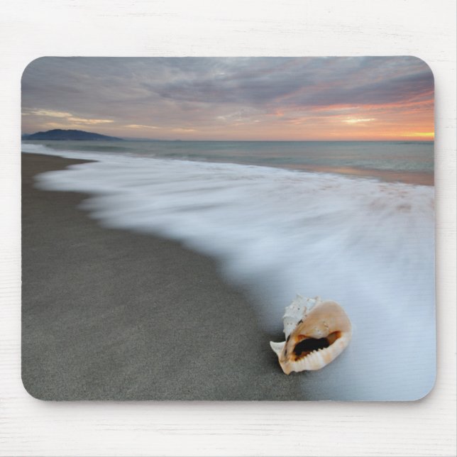 Alfombrilla De Ratón Salida del sol en la playa y Shell (Frente)