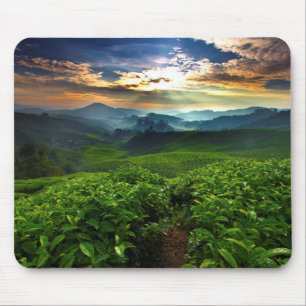 Alfombrilla De Ratón Salida del sol sobre granja del té